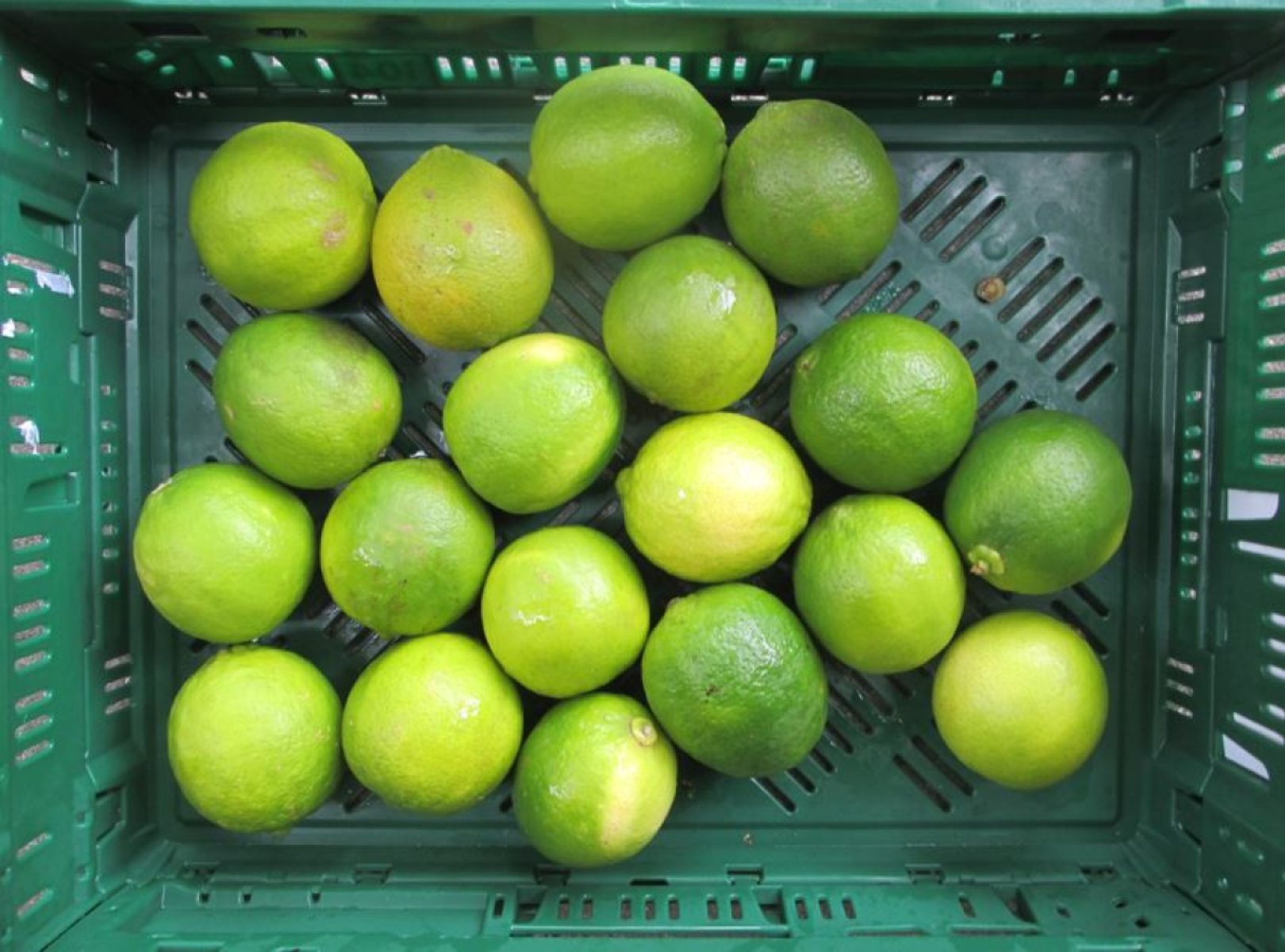 Bio Limetten, lose