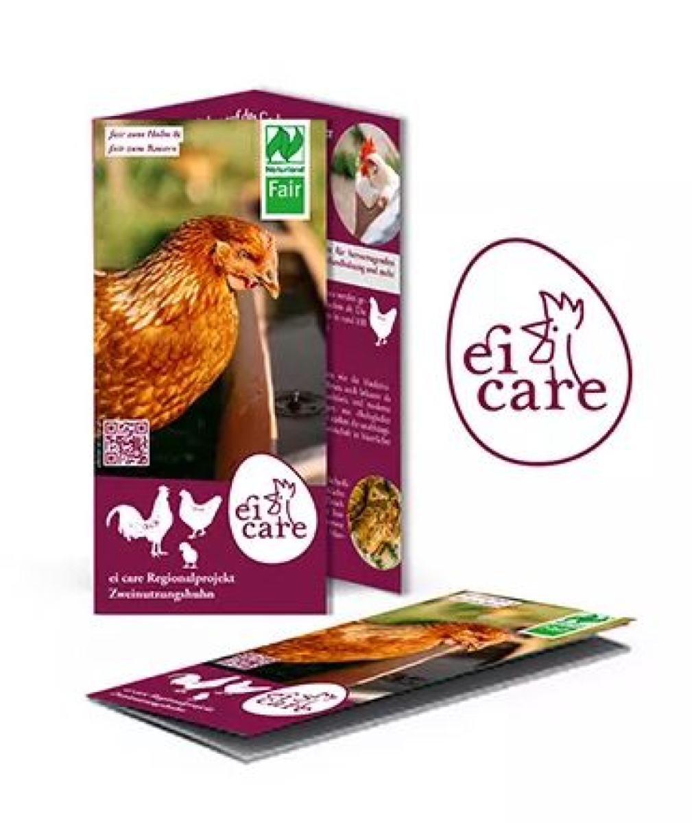 Flyer Ei Care Info