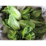 Mini Romanaherzen, grün