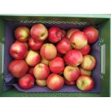 Apfel "Marnica"