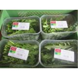 Rucola-Salat  125g-Schälchen / regional
