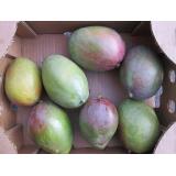 Mangos "Tommy Atkins"