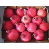 Granatäpfel, frisch