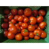 Tomaten, Deutschland