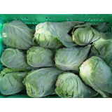 Spitzkohl, Preis nach Gewicht