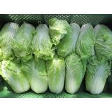 Chinakohl, Stück nach Gewicht