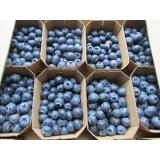 Heidelbeeren  250g Schälchen