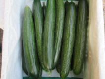 Salatgurken, deutsche