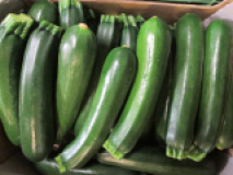 Zucchini grün