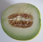 Melone Galia, halbe Frucht