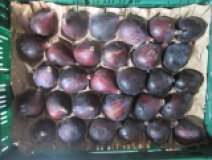 Frische Feigen, schwarz
