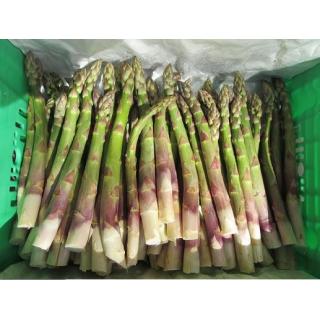 Grüner Spargel, lose 12mm+