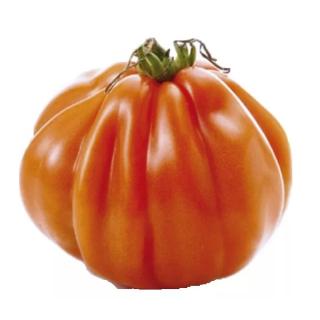 Fleischtomaten Ochsenherz