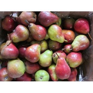 Birne Rote Williams