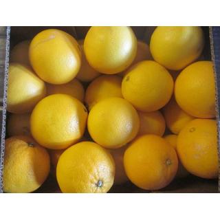 Orangen Navel Late, Kal. 2-4
