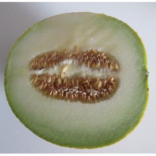 Melone Galia, halbe Frucht