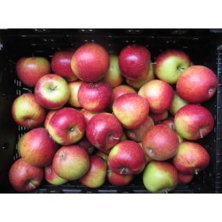 Apfel Natyra