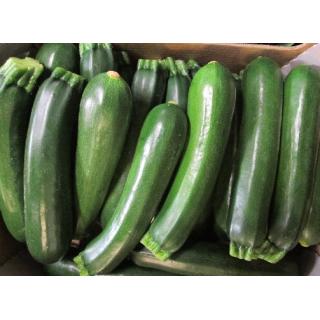 Zucchini grün, regional