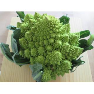 Romanesco, Stück