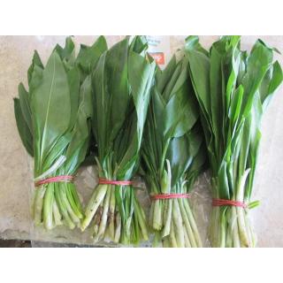 Bärlauch, frisch, Bund