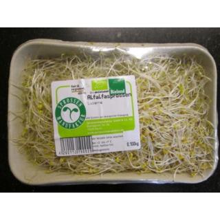 Alfalfa Sprossen 100g