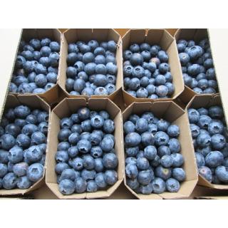Heidelbeeren  250g Schälchen