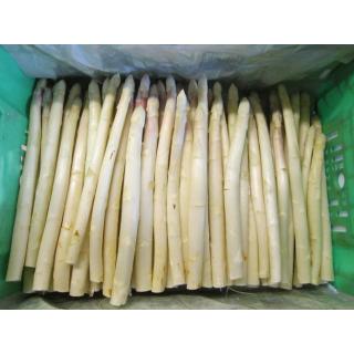 Beelitzer Spargel, weiß-violett 14mm+