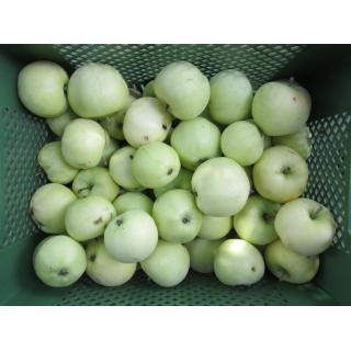 Apfel Klarapfel
