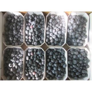 Heidelbeeren 125g Schälchen