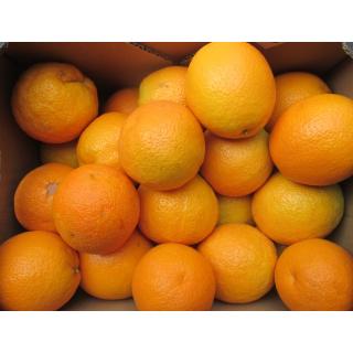 Orange Valencia Late Kal. 2-3