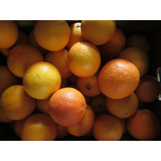 Blutorange "Moro" mittlere Größe