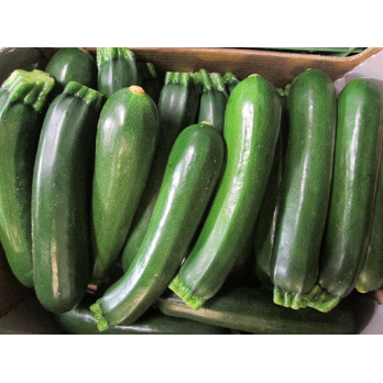 Zucchini grün