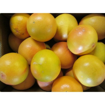 Grapefruit, rot "Star Ruby"