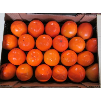 Kaki Rojo Brillante Stk