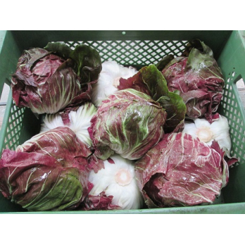Radicchio, Stück pro Gewicht