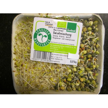Salat-Mischung  Sprossen 100g