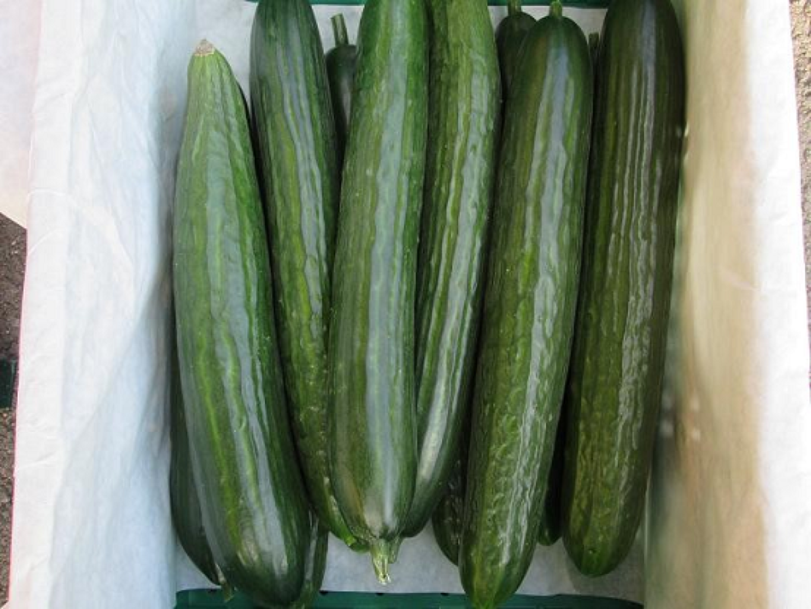 Salatgurken, deutsche