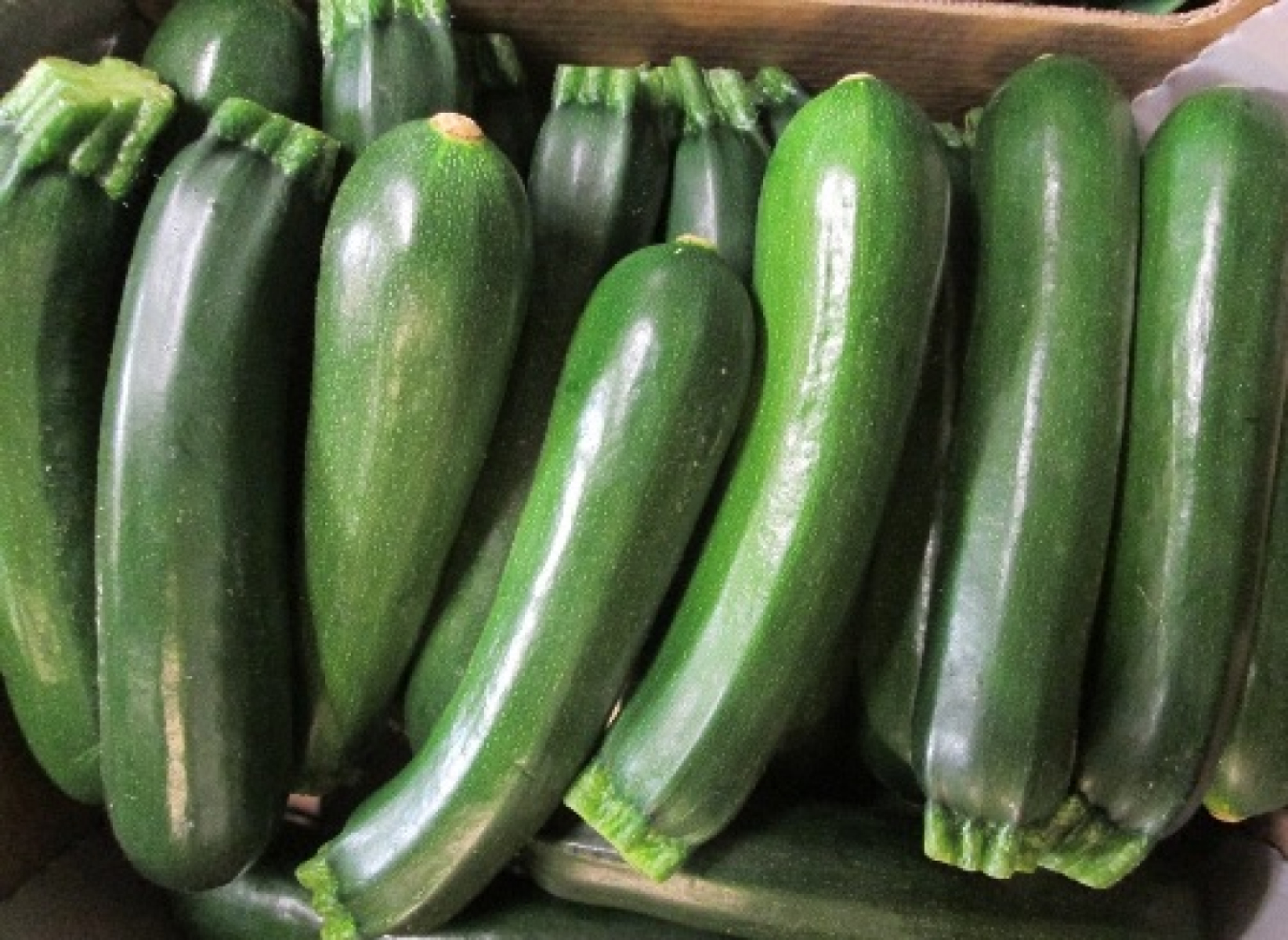 Zucchini grün, regional