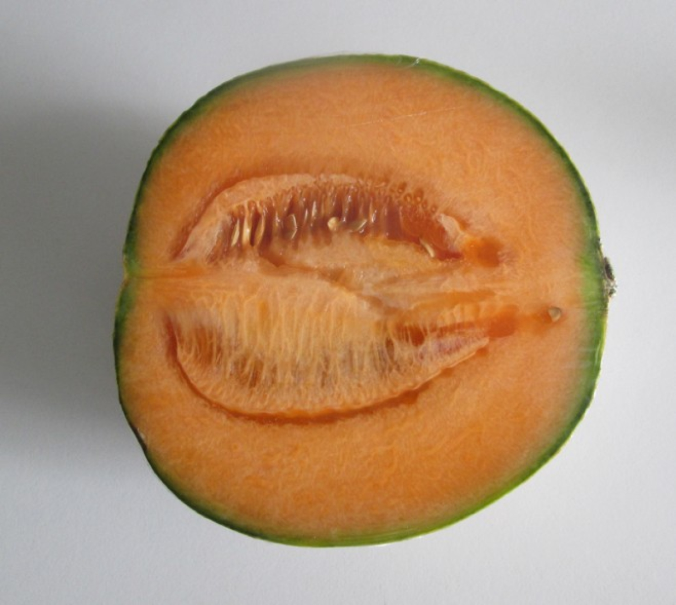 Melone Charentais, halbe Frucht