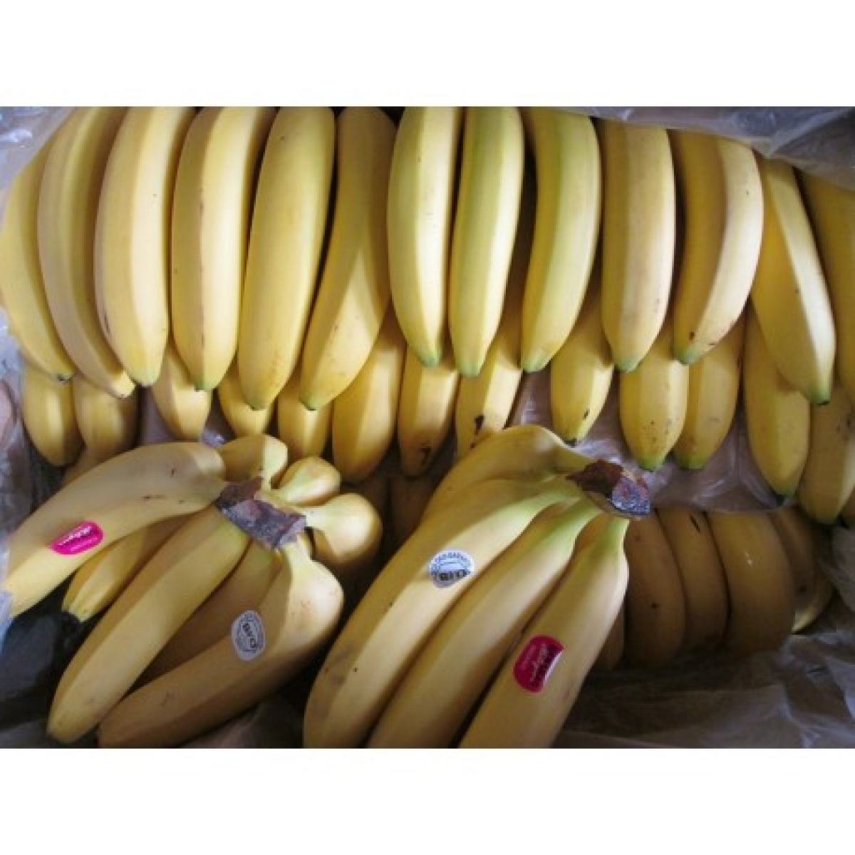 Bio Bananen, lose
