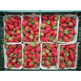 Erdbeeren aus Deutschland 250g