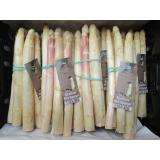 Beelitzer Spargel 500g Bund 16mm+