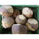 Steckrüben/Kohlrüben