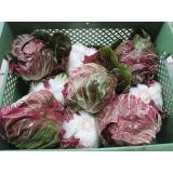 Radicchio, Stück pro Gewicht