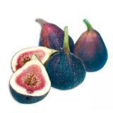 Frische Feigen, schwarz