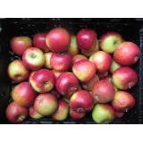 Apfel Natyra