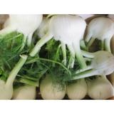 Fenchelknolle, Stück nach Gewicht