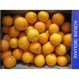 Blut-Saftorangen "Tarocco"