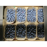 Heidelbeeren 125g Schälchen