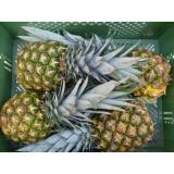 Ananas extra sweet